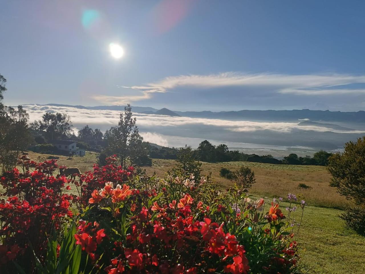 Glamping hermoso amanecer Guatavita Exterior foto