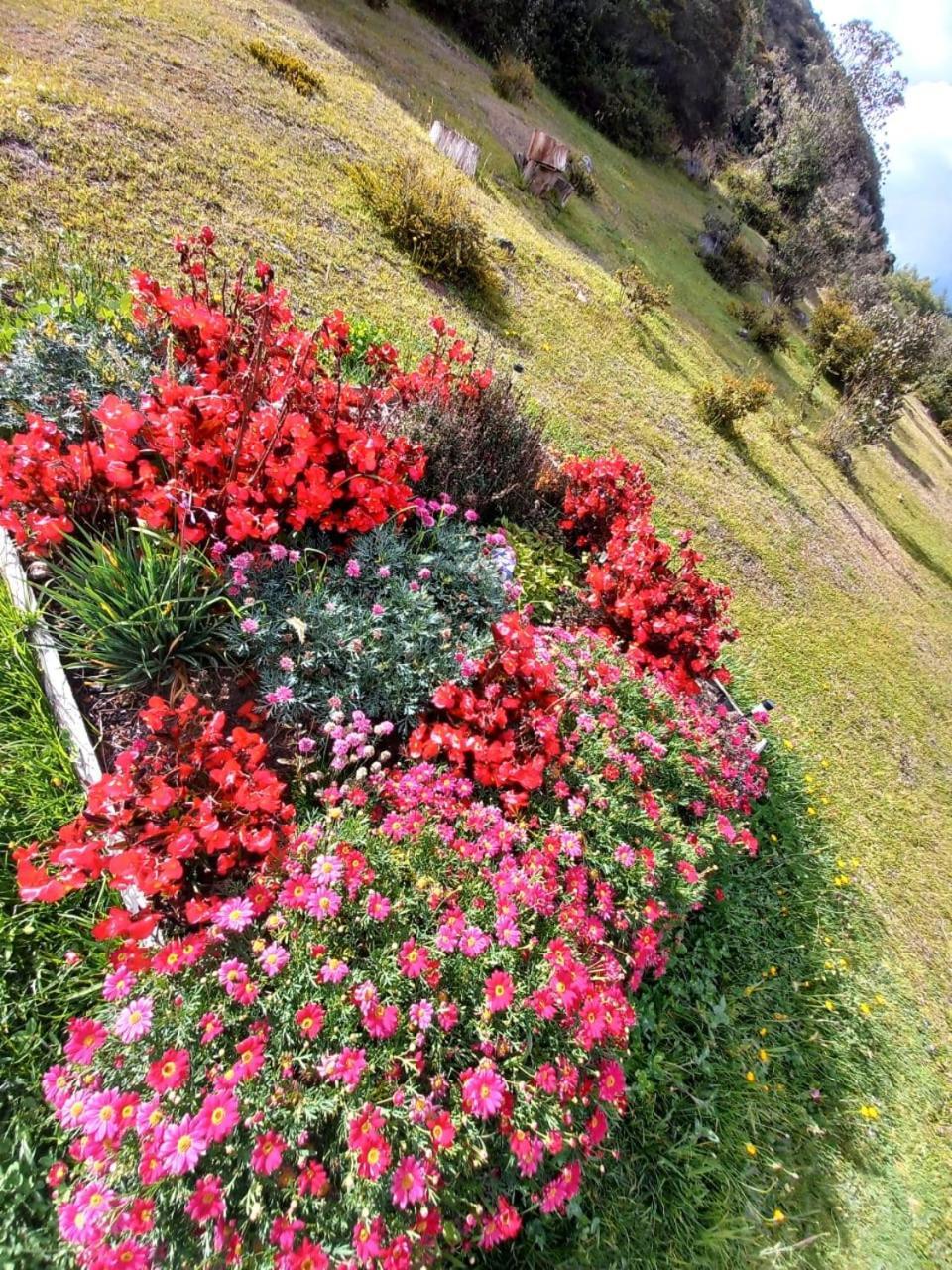 Glamping hermoso amanecer Guatavita Exterior foto